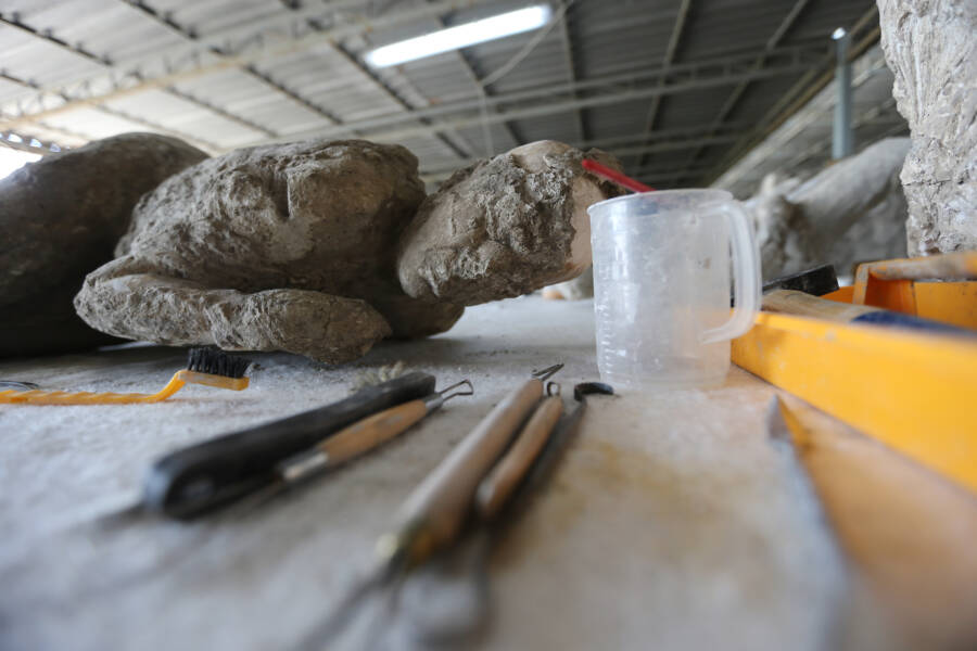 39 Agonizing Photos Of Pompeii's Bodies Frozen In Time