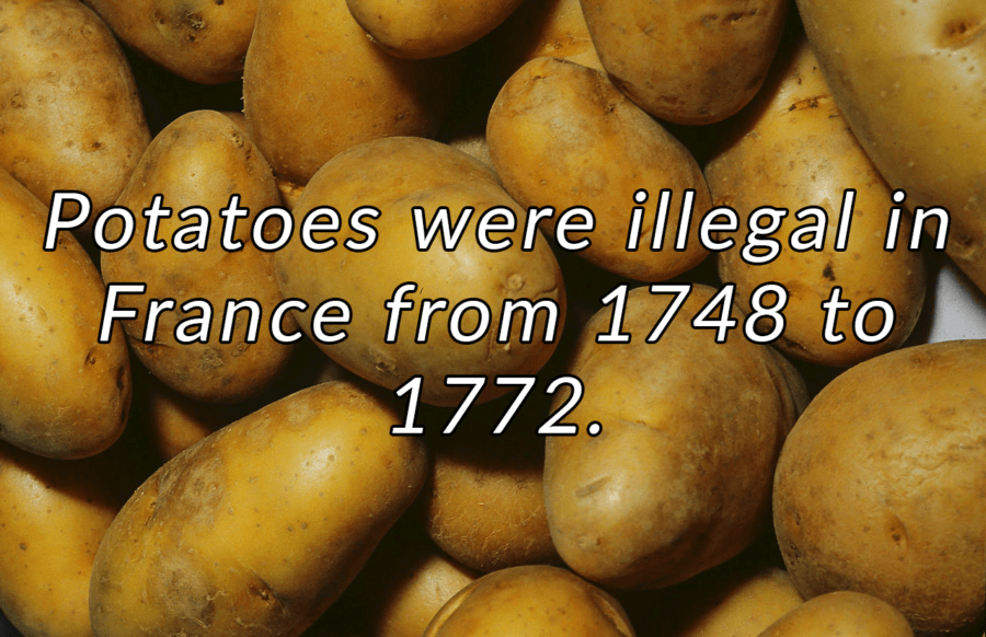 Interesting France Facts Potatoes