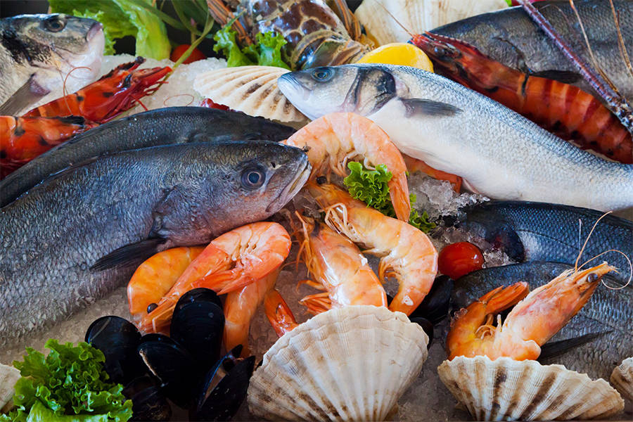 contrary-to-popular-belief-seafood-may-be-the-key-to-human-fertility