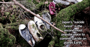 Shoes In Suicide Forest