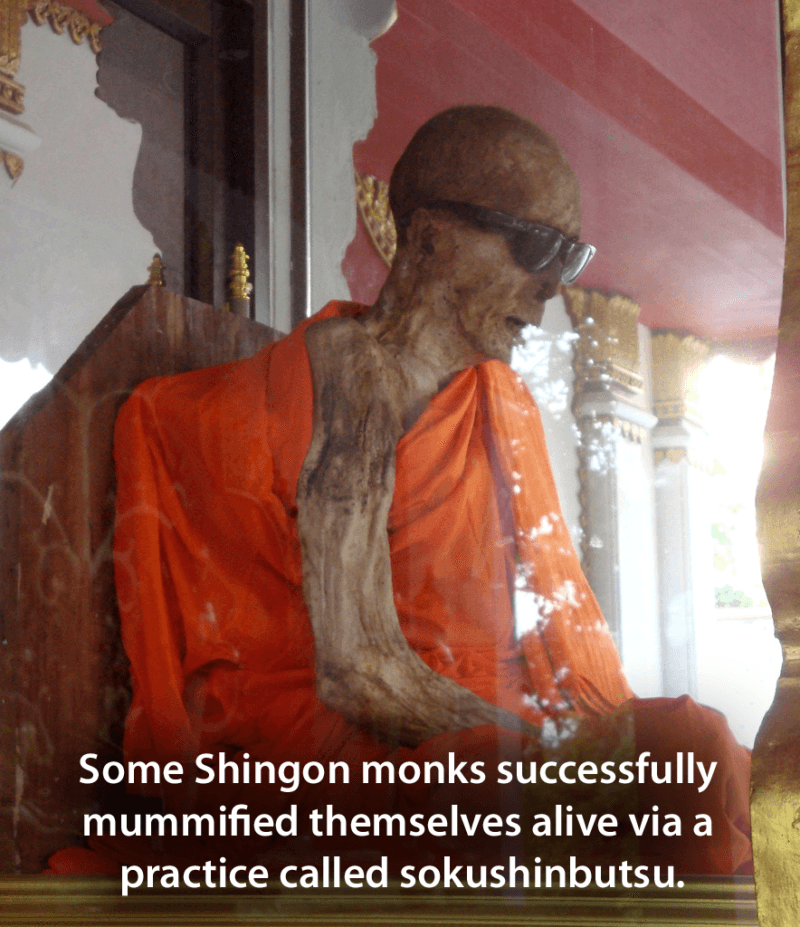 Sokushinbutsu Mummy Monk