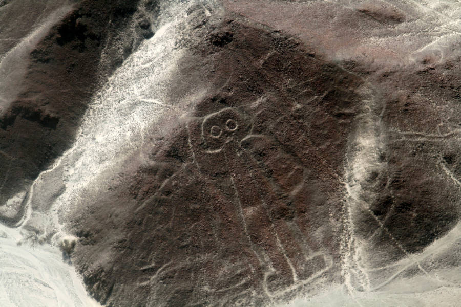 The Astronaut Nazca