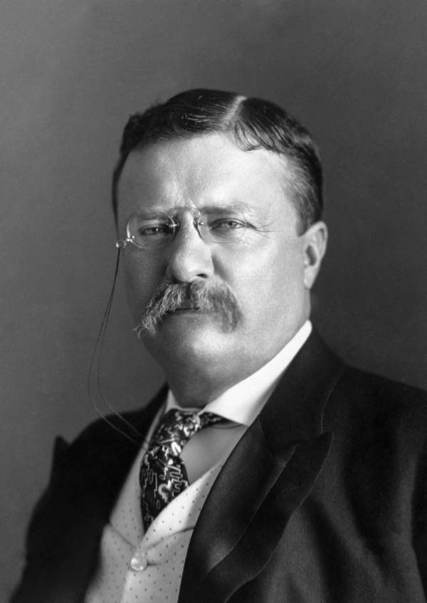 Eugenics Movement Theodore Roosevelt