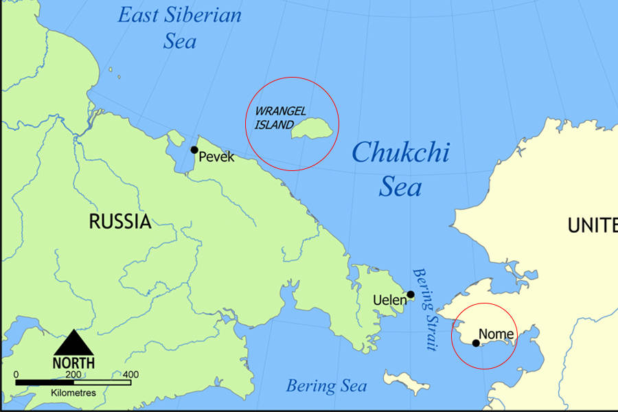 Wrangel Island Map
