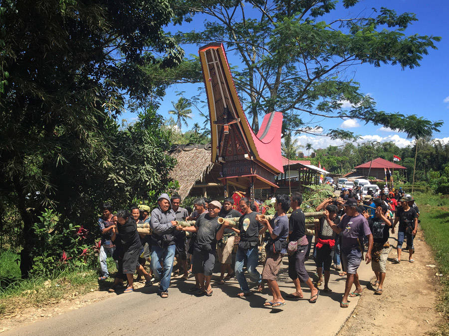 Toraja Casket Being Carried During Celebration