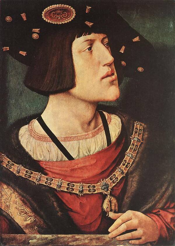 What Was the Habsburg Chin?