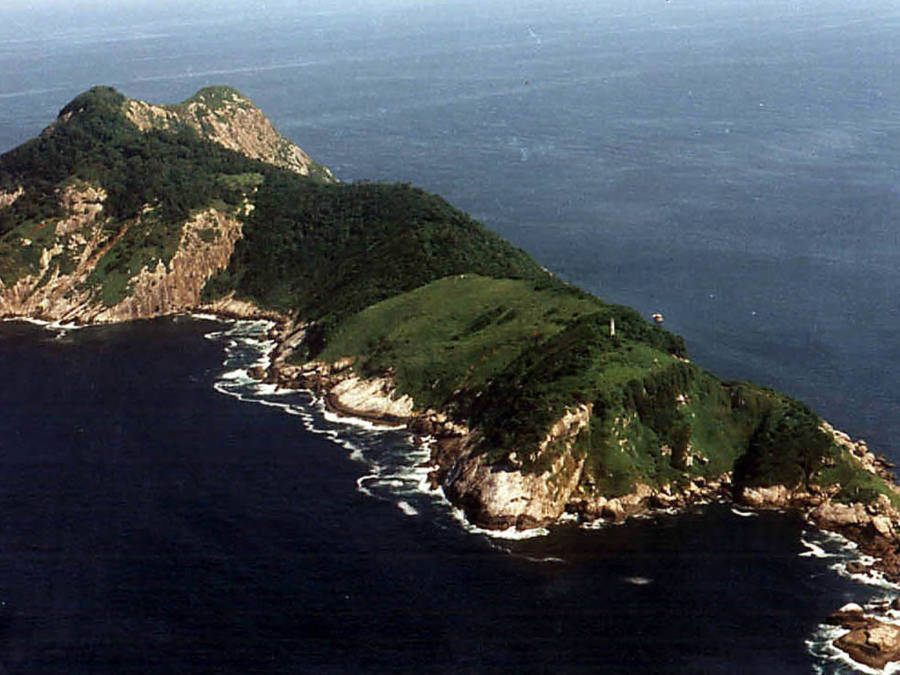 Ilha da Queimada Grande