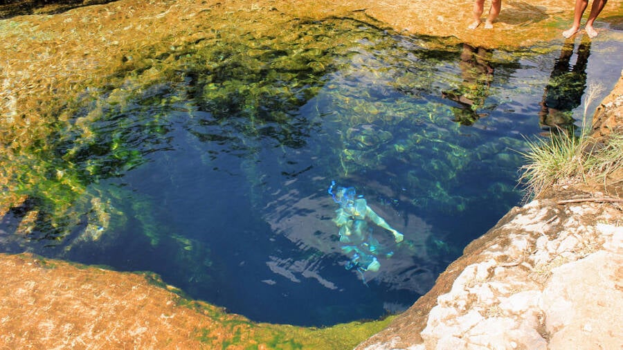Diver Comes Up From Jacobs Well