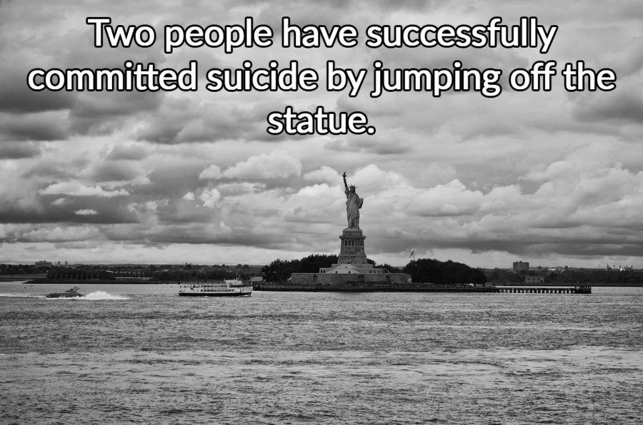 Successful Suicide