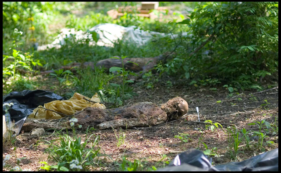 Tennessee Body Farm