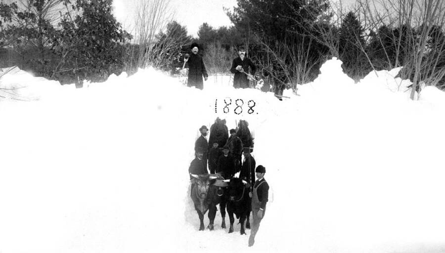 Blizzard Of 1888: Photos And Stories From The Great White Hurricane