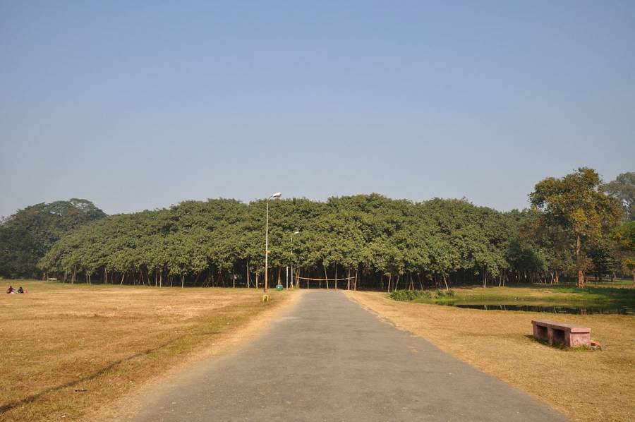Great Banyan Tree