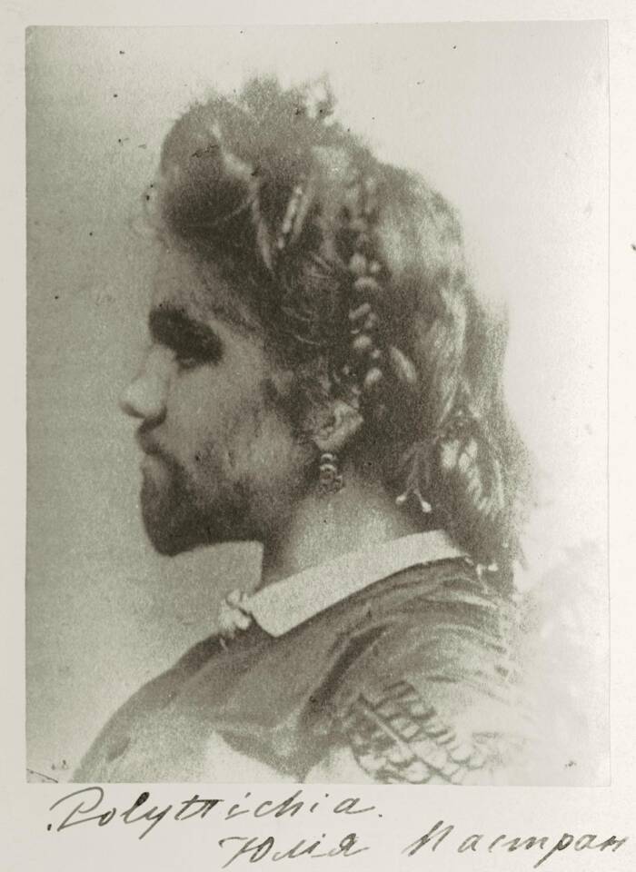 Julia Pastrana