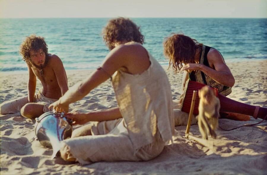 Monkey With Musicians