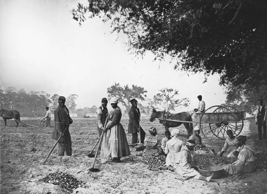 Slaves In Virginia