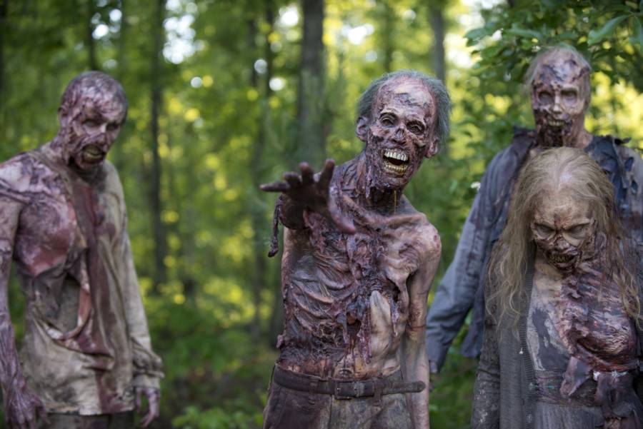 Walking Dead Zombies