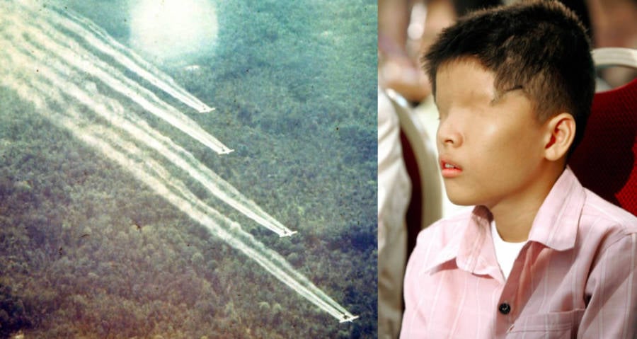 Vietnam Demands Monsanto Give Payment To Victims Of Agent Orange Attacks