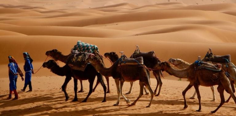 The Berbers: The North African Nomads Who Live In The Sahara Desert