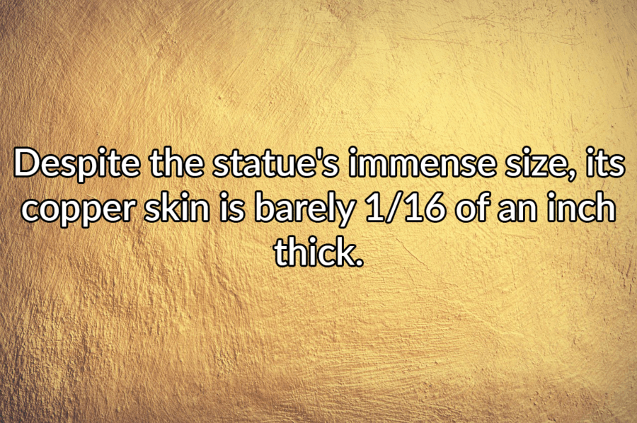 Statue Of Liberty Facts Skin