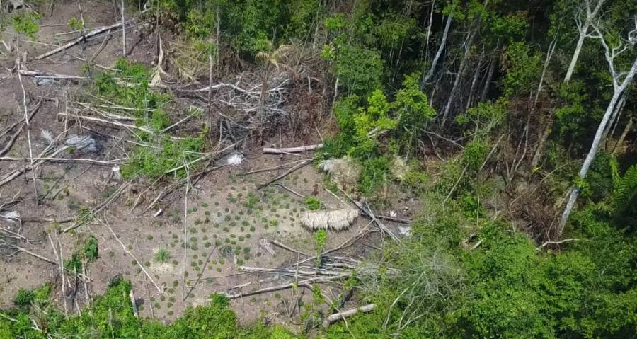 Uncontacted Amazon Tribe Revealed In Astounding Drone Video