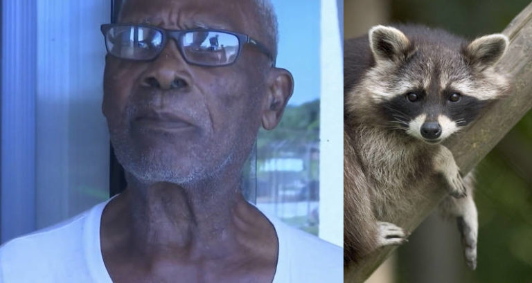 88-year-old-florida-man-burns-raccoon-alive-because-it-ate-his-mangoes