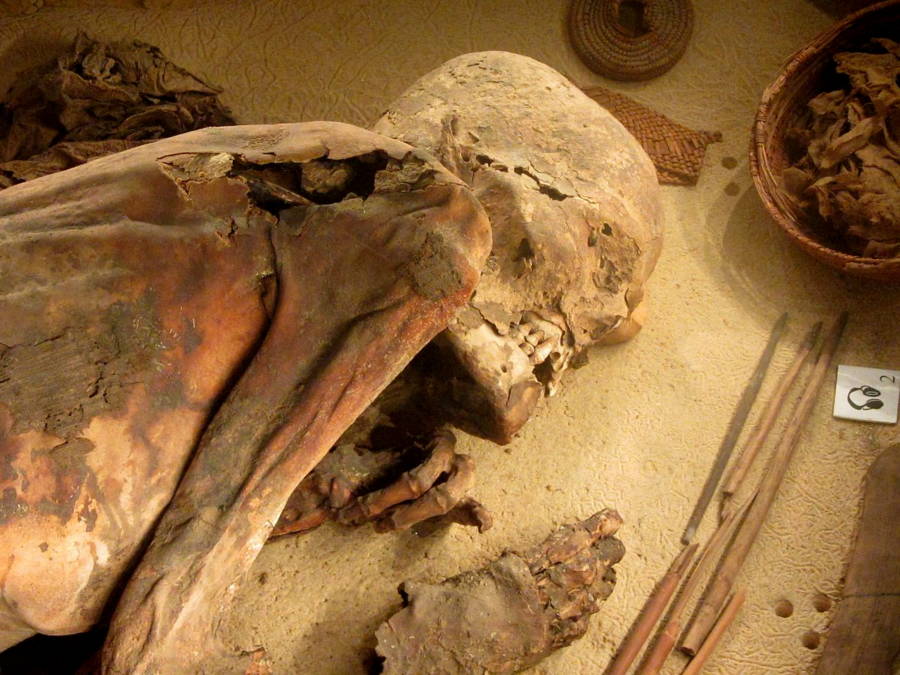Head Of Turin Mummy