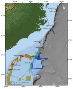 Scientists Discover 85 Miles Of Coral Reef Off The Coast Of South Carolina