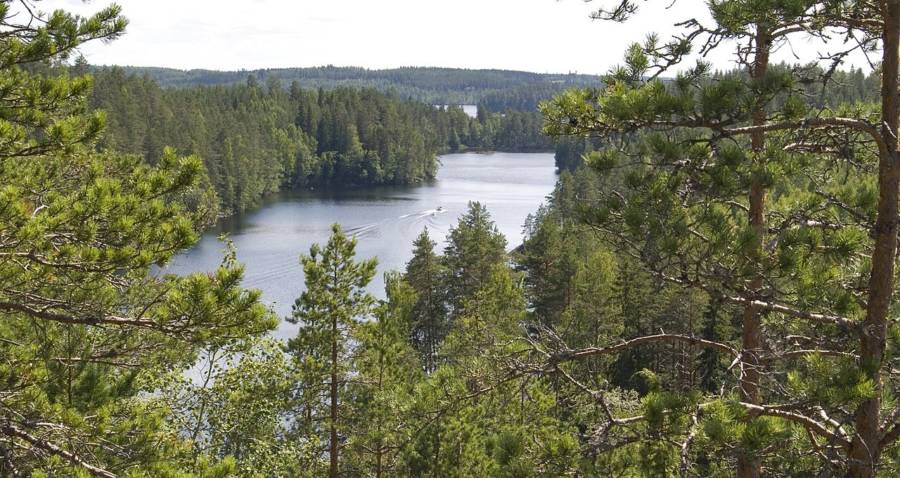 Ancient Stone Age Settlement Discovered At The Bottom Of A Lake In Finland