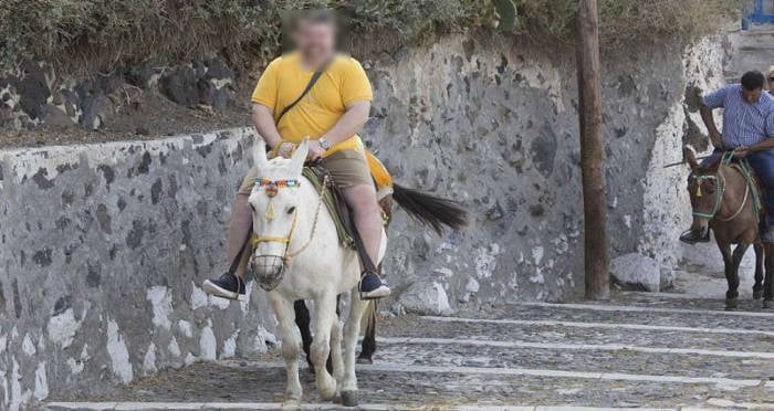 Man On Donkey