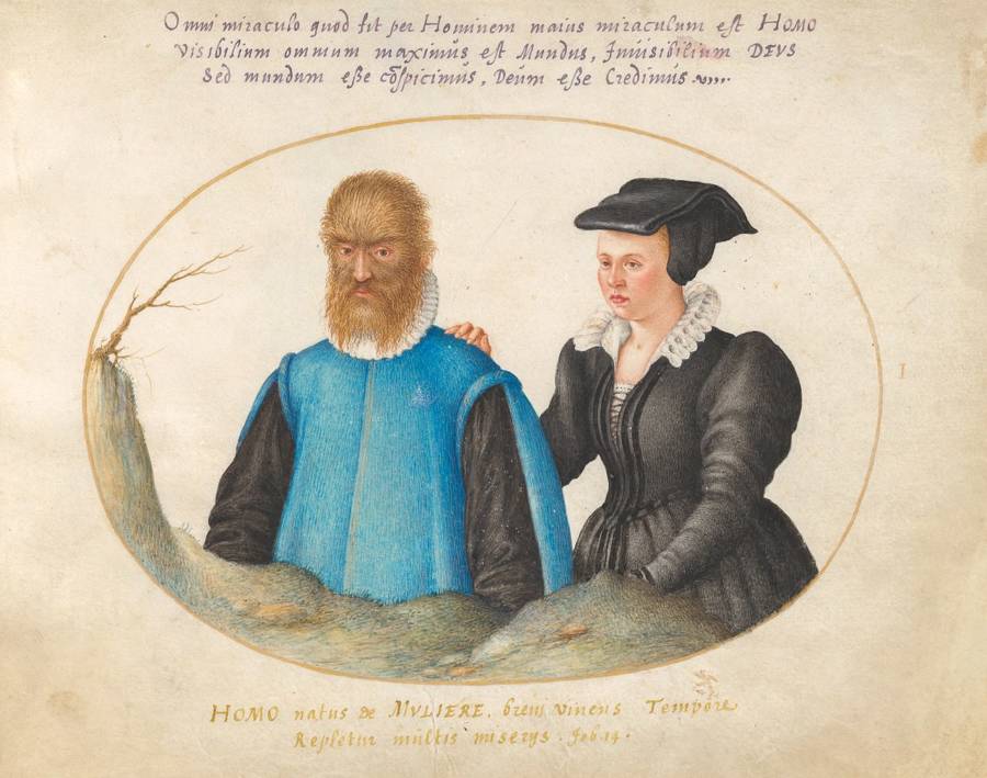 Petrus Gonsalvus And Lady Catherine