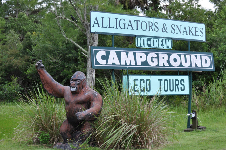 Skunk Ape Campground Statue