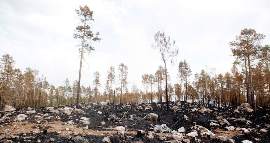 Sweden Wildfire