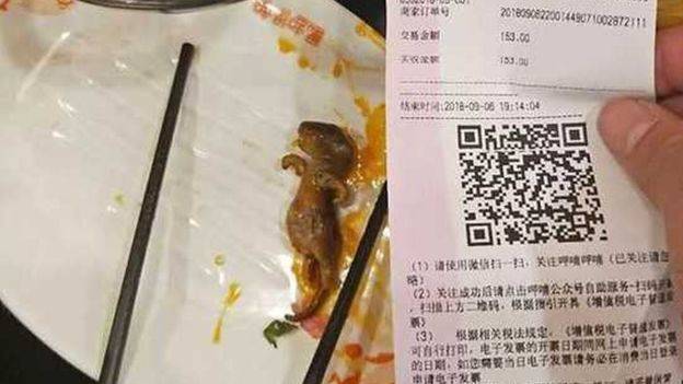 Dead Rat On Plate