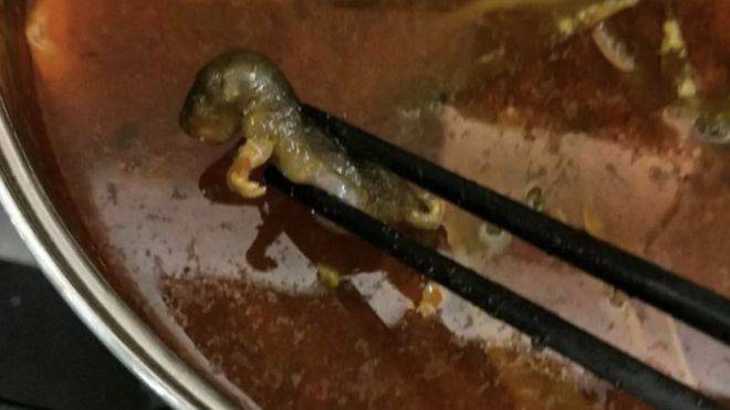 Dead Rat In Soup