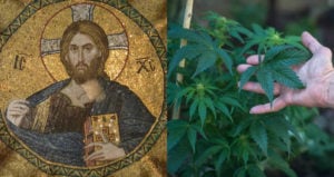 Jesus Weed