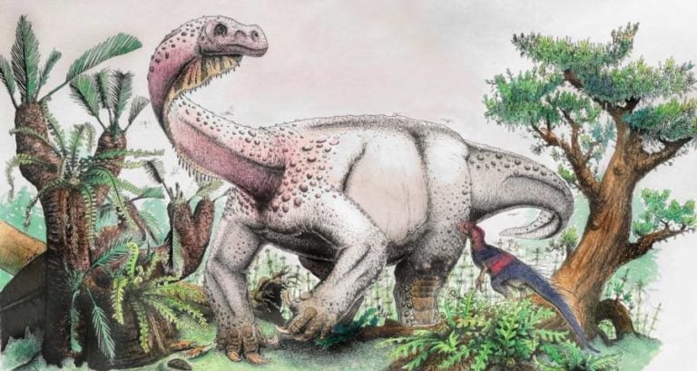 Ledumahadi Mafube Drawing