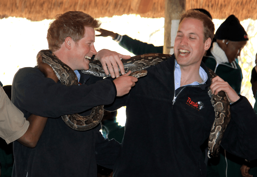 Royal Family Photos Of William And Harry And Snake