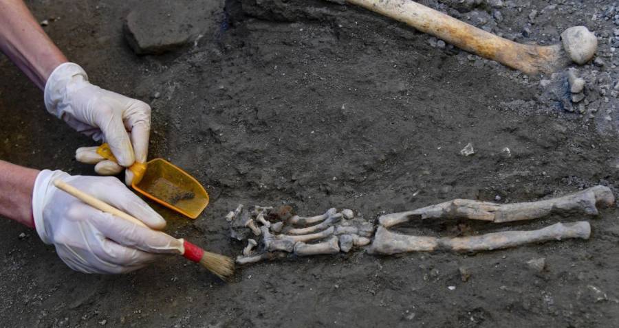 Excavating Pompeii Skeleton