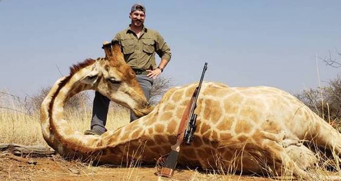 Wild Animals Killing People