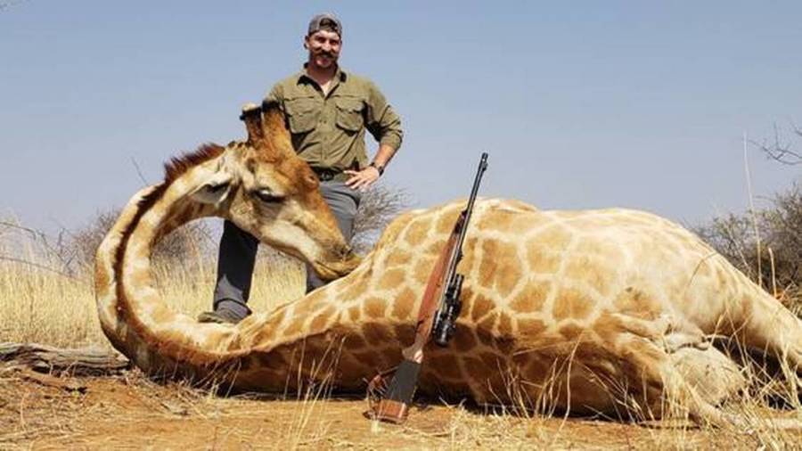 Blake Fischer With Dead Giraffe