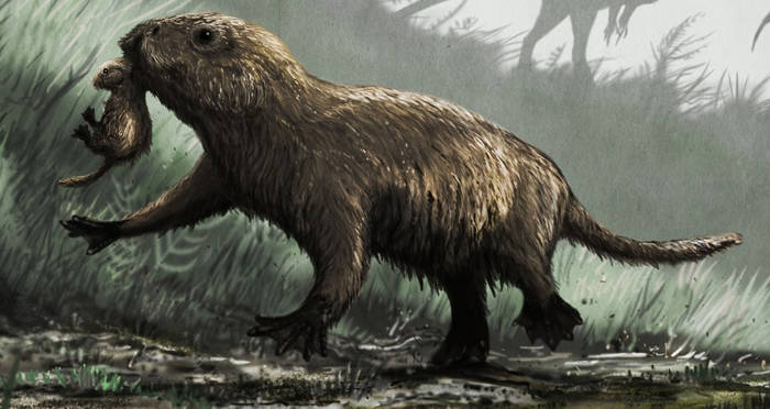 Skulls Of Mammal Relative And Her 38 Babies Discovered