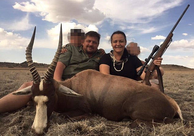 Poachers Under Attack: 15 Times Animals Got Their Revenge