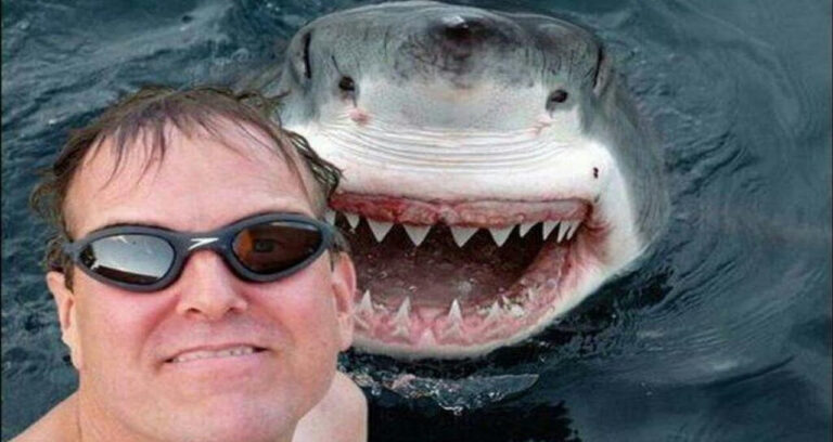 Shark Selfie Featured