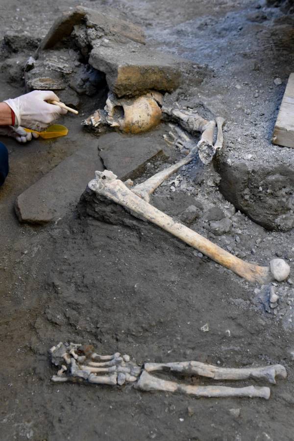 Skeletal Remains Of Pompeii