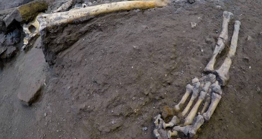 Skeletons At Pompeii