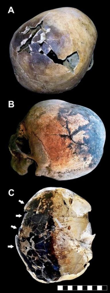 Vesuvius Skulls