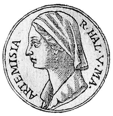 Artemisia Of Caria Women Warriors