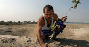 Jadav Payeng Plants In Sand