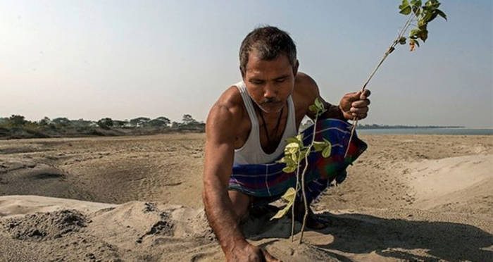 Jadav Payeng Plants In Sand