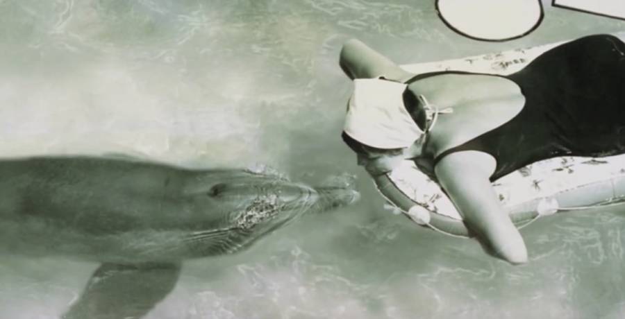 Margaret Howe Lovatt With A Dolphin